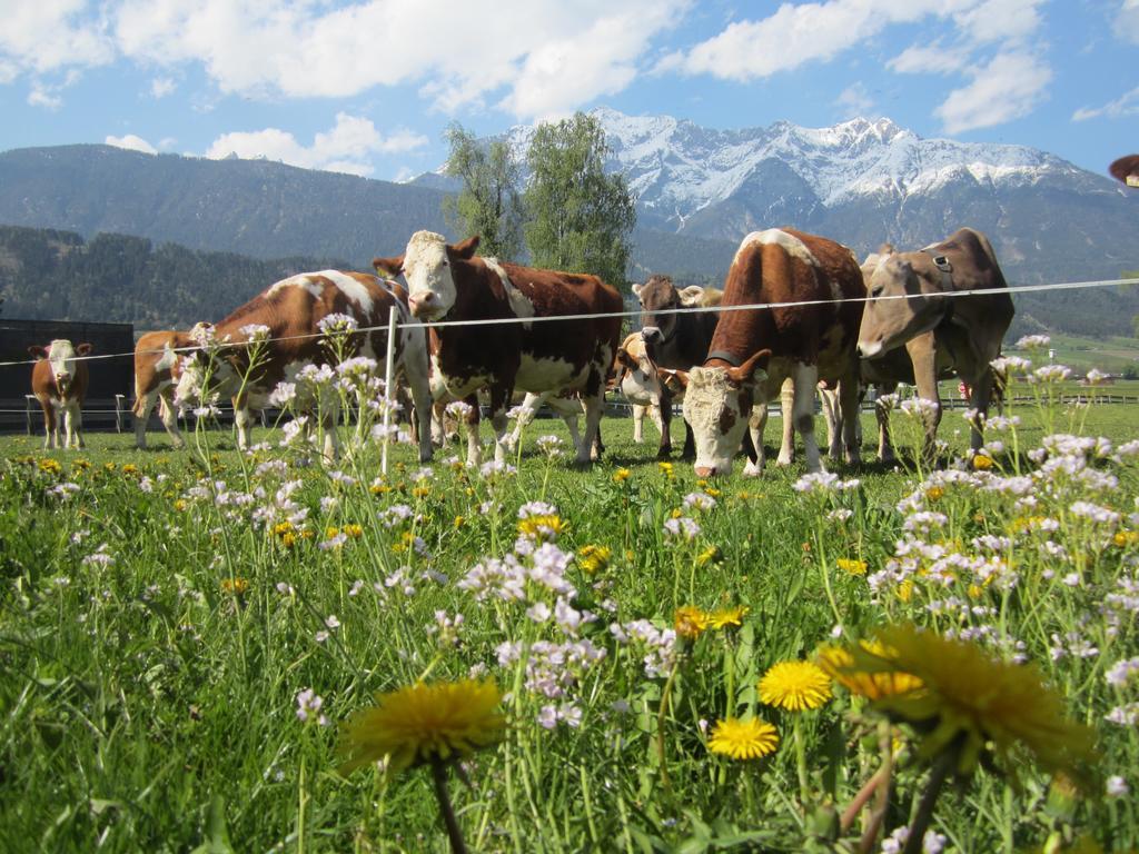 Ferienhaus Mandlhof Weer Exterior foto
